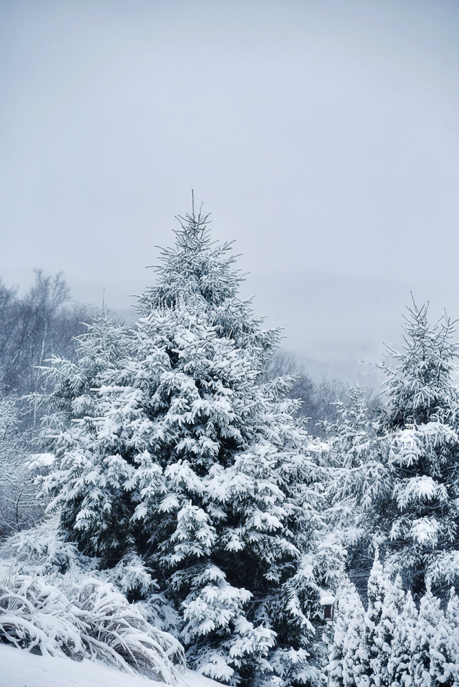 Montagne neige